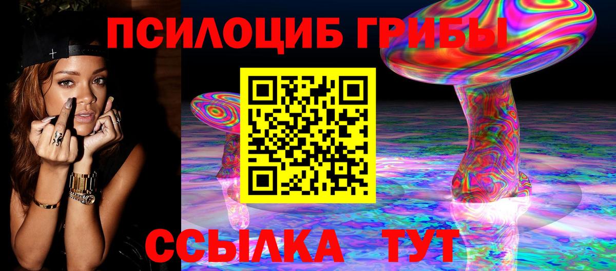 Псилоцибиновые грибы Psilocybe Богородицк